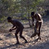 【Tsumkweで狩猟民族とハンティング】世界一歩くのが早い民族